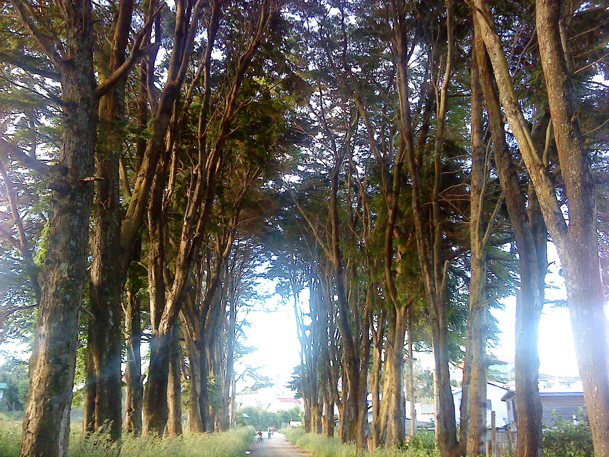 🌈 Lorena V banner