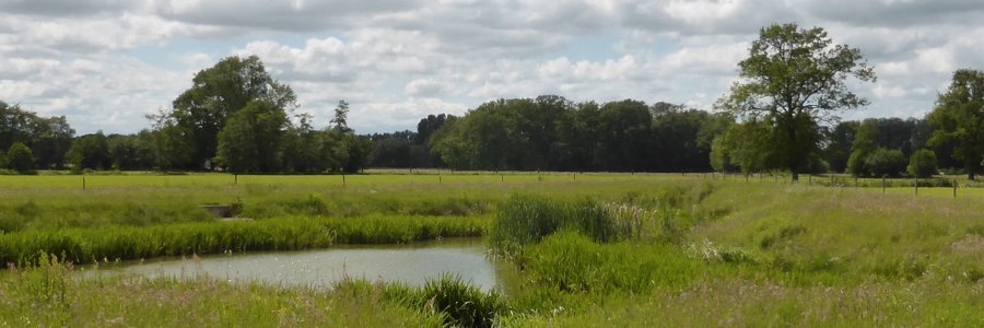 NicolevanHoof1's profile banner image