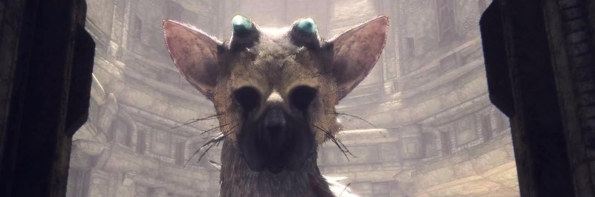 Felix 🐀✨ banner