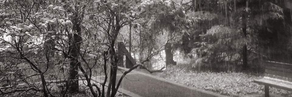 ENG. Mesfer ALmalki banner