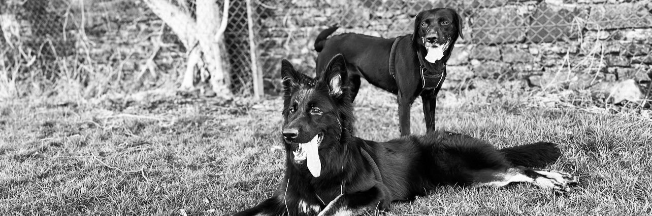BrennAndre's profile banner image