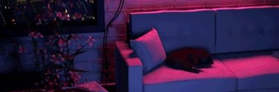 El banner