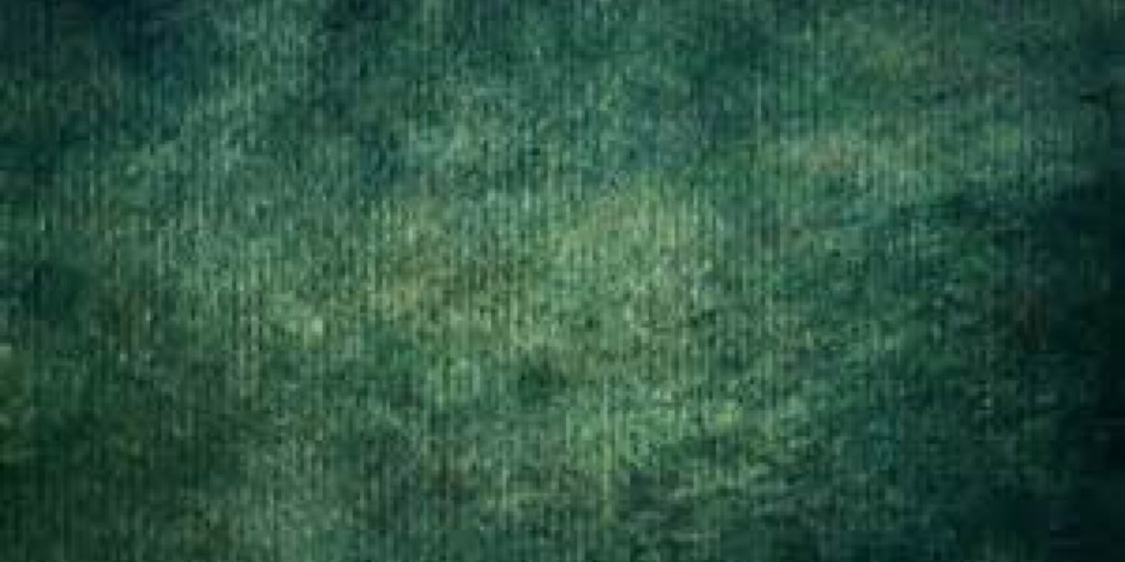 chiahoneyy's profile banner image