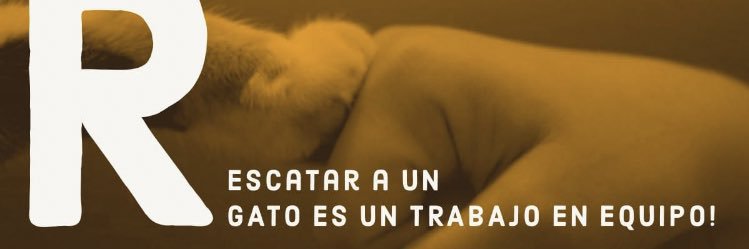 ResCat banner
