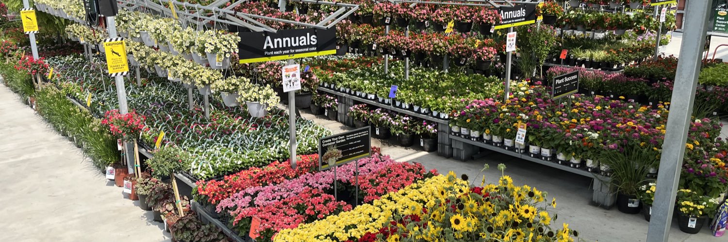 AmillerBell's profile banner image
