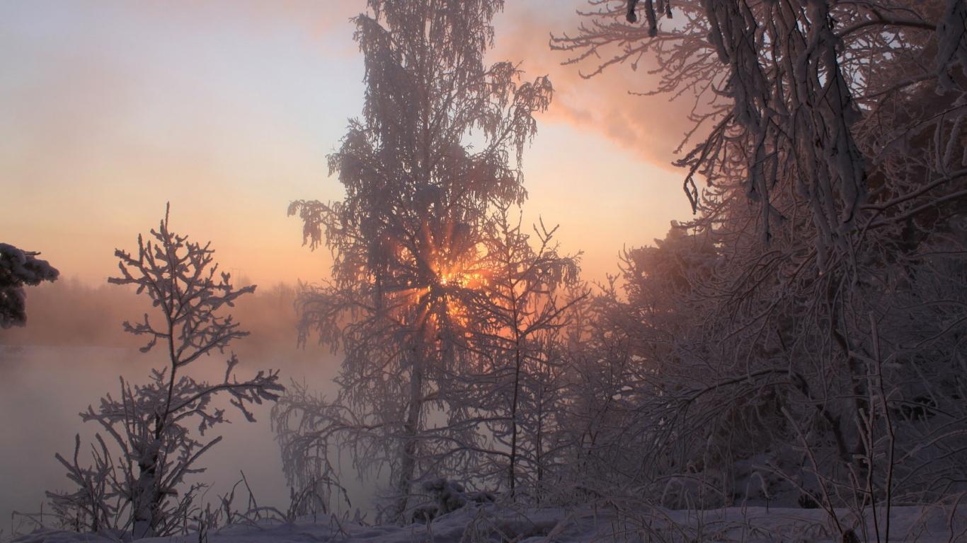 SentsovaY's profile banner image