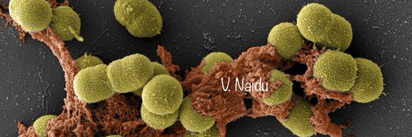 CuriousMolecule Profile Banner