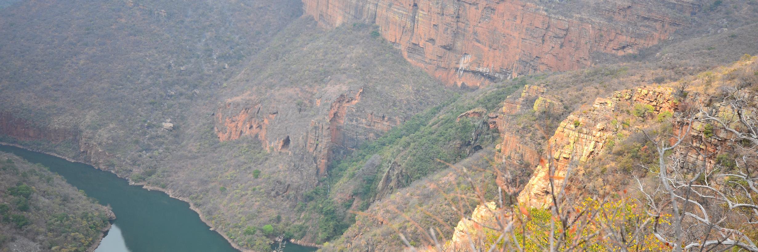 Dobby le chat ⭐⭐ banner