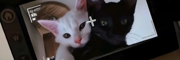 mk_aaa1's profile banner image
