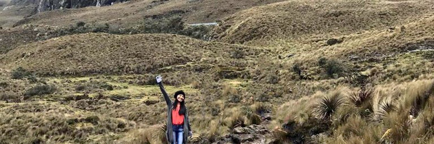 dnisvivanco's profile banner image