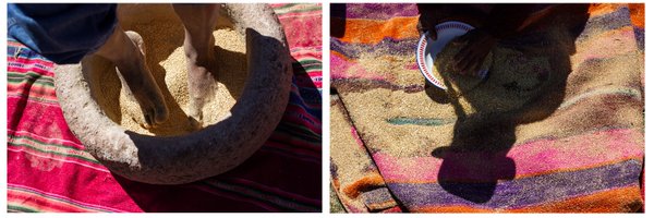 Whh_Sam Profile Banner