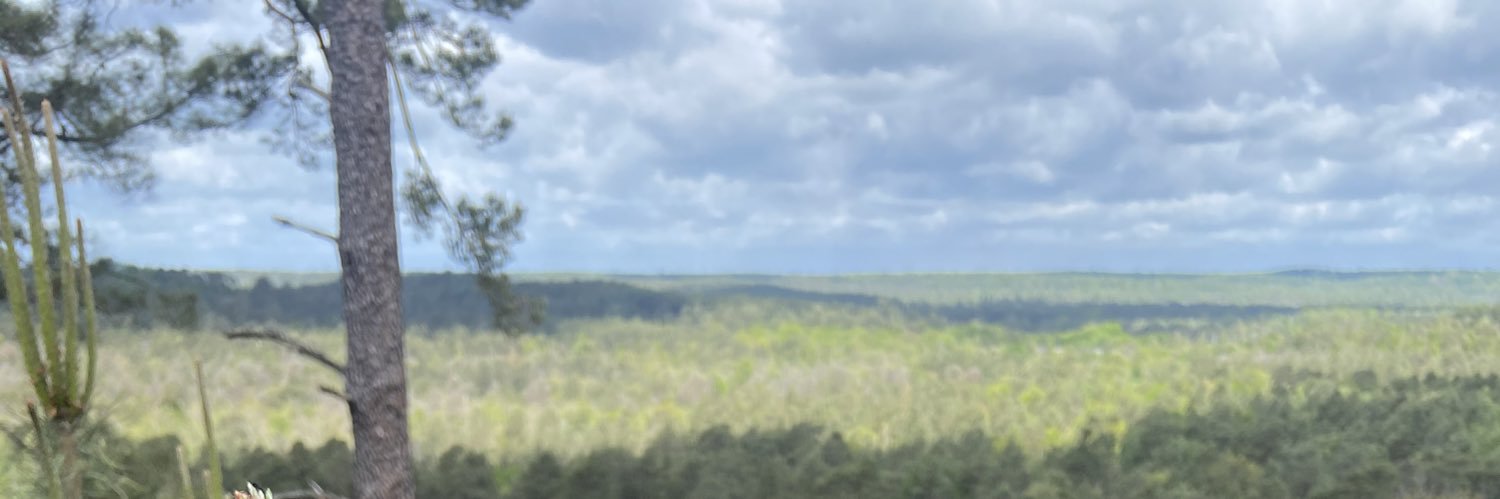 PascalVillebeuf's profile banner image