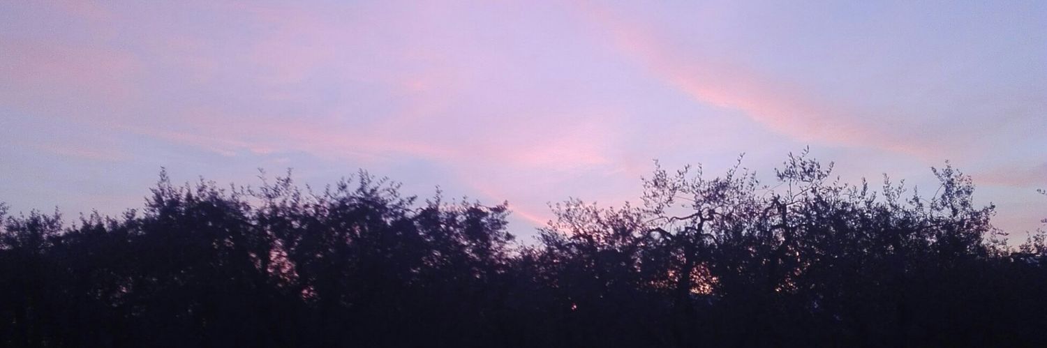 aint_elisa's profile banner image