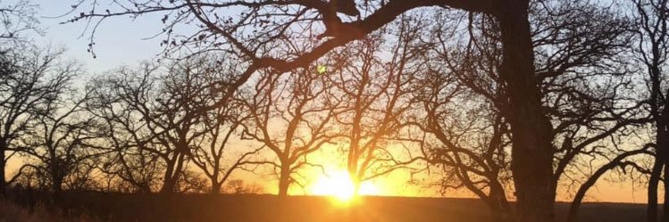 tcjackson22's profile banner image