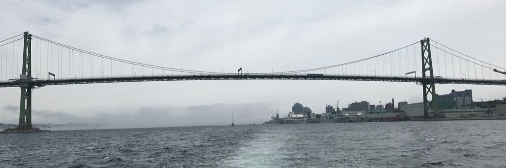 nicole_grayy's profile banner image