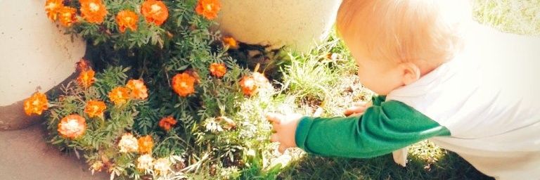 lulibernio's profile banner image