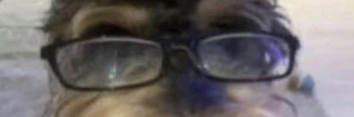 yop banner