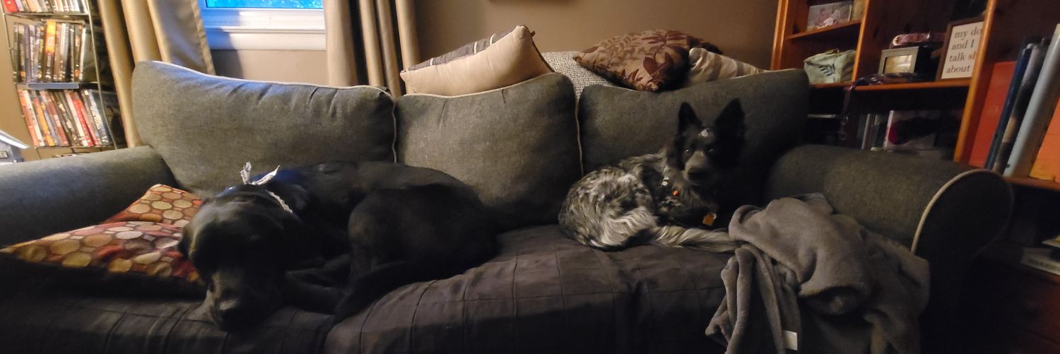 kyledubs 🪶 banner