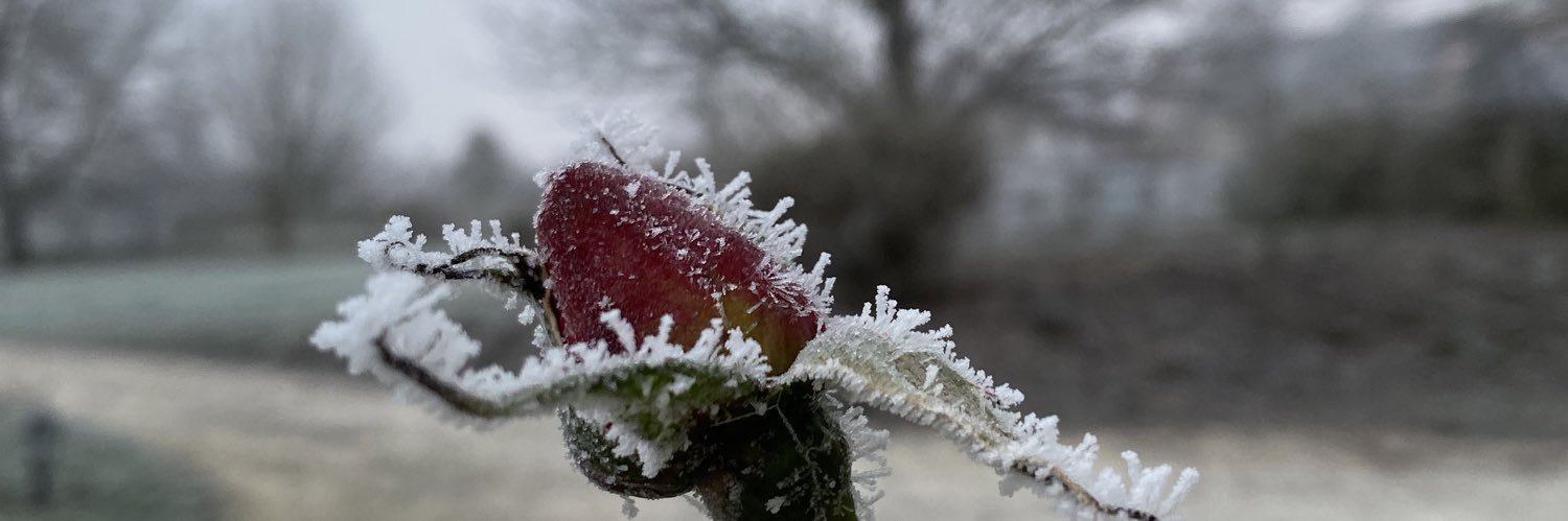 Béatrice Moreau banner
