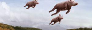 calmvfarm's profile banner image