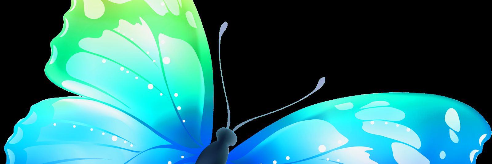 cpuigpuig's profile banner image