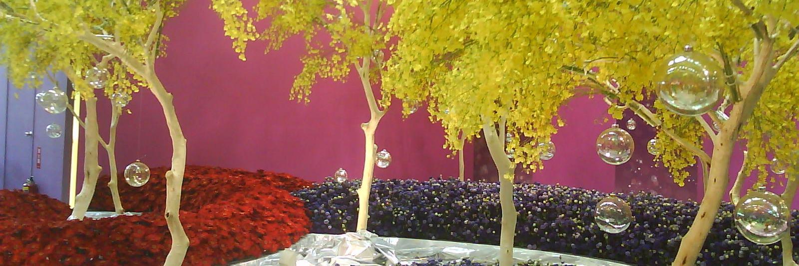 befi1345's profile banner image