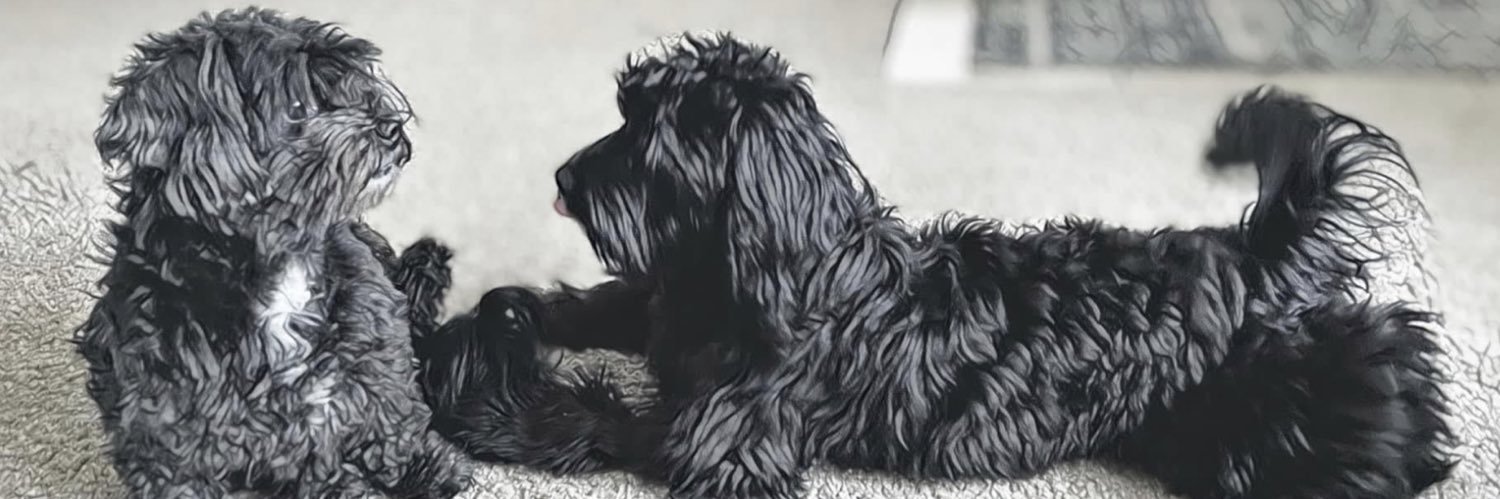 MichaelMehallis's profile banner image