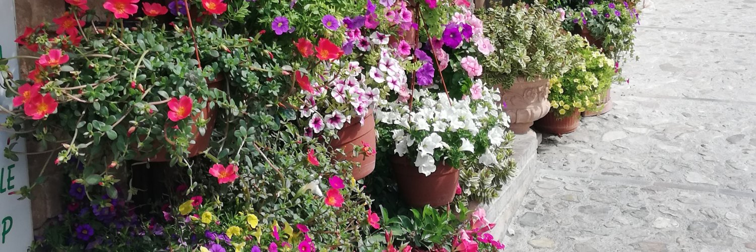 fspaggiari's profile banner image