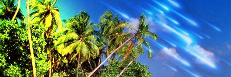 POLYtics_'s profile banner image