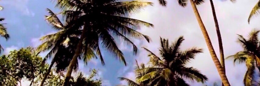 logantamplinn's profile banner image