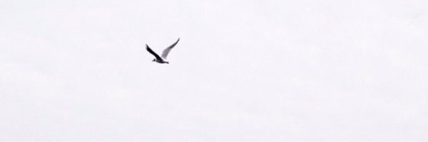 joury banner