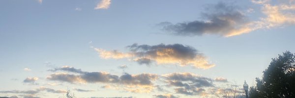 GingerHotDish Profile Banner