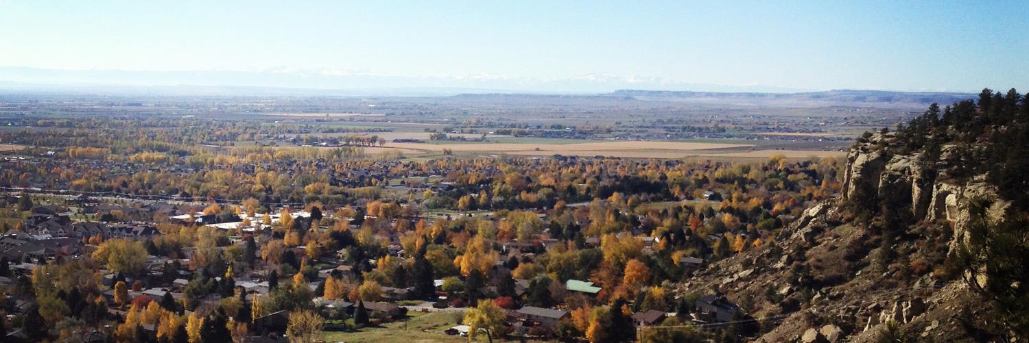 Shannon Christensen banner