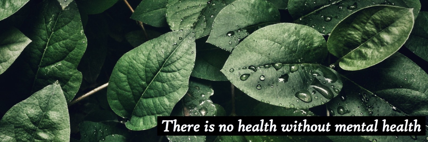mhafc1's profile banner image