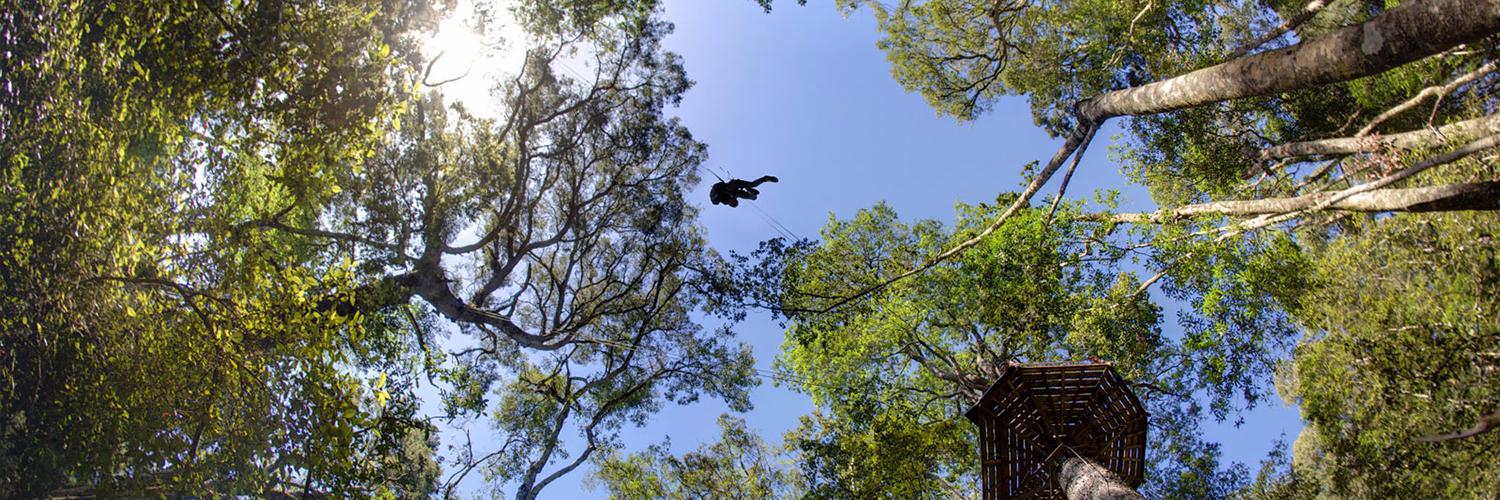 TsitsikammaLangkloof banner