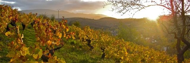 bodegaAkilia's profile banner image