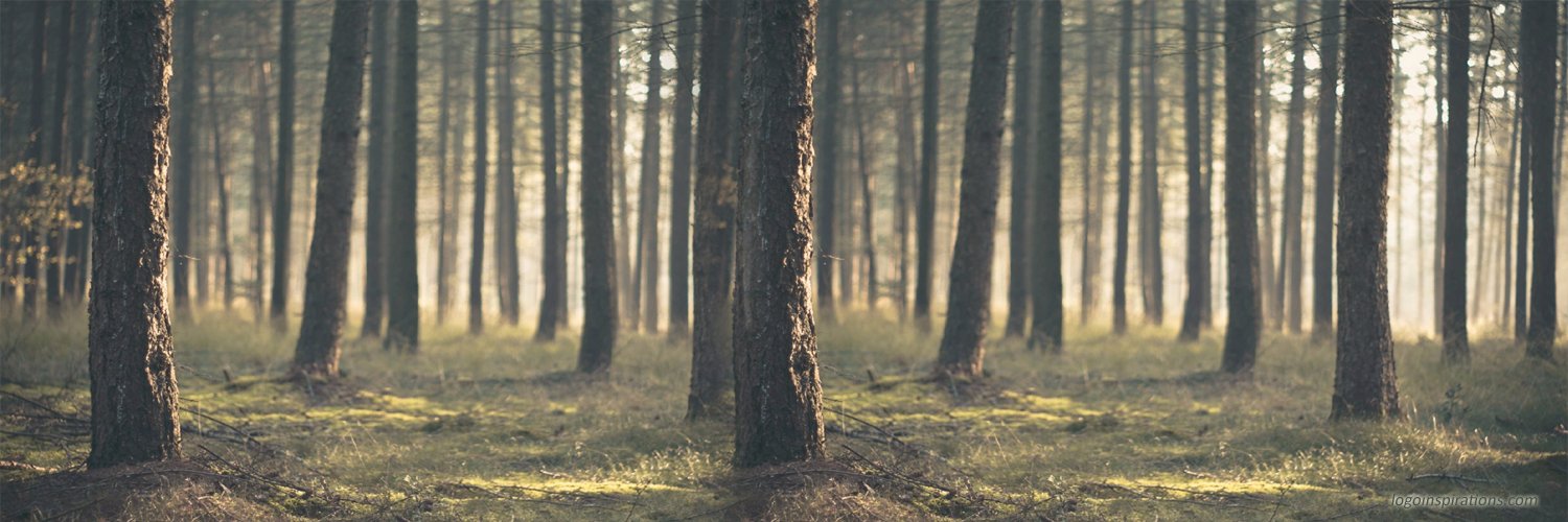 Judit Batlle Salvador banner