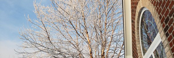 polly17 Profile Banner