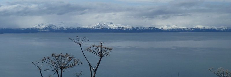 Sandra Prüfer banner
