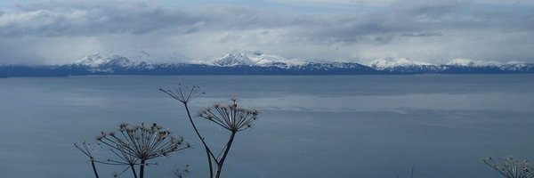 spruefer Profile Banner
