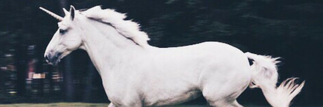 EffeP's profile banner image