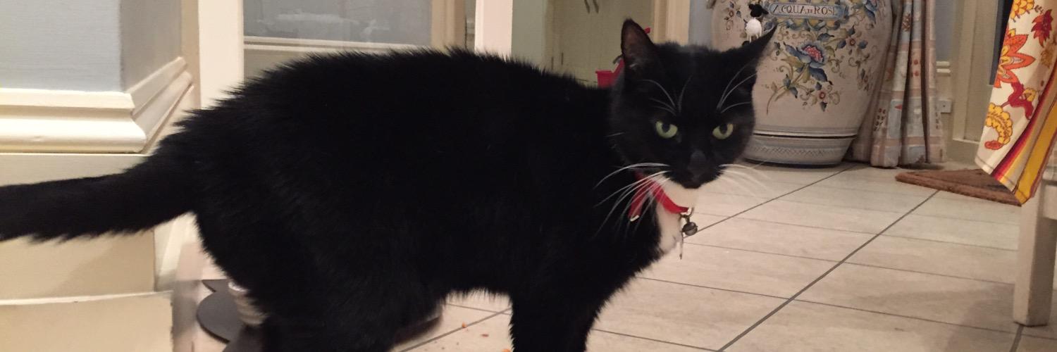 Sally Louise Onions banner