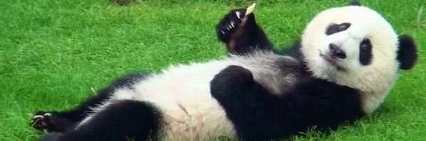 笹森瑠美🐼水着落語(YouTubeにて公開中！) banner