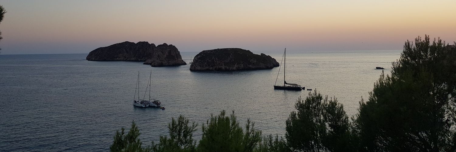 Barry the Fish with fingers banner