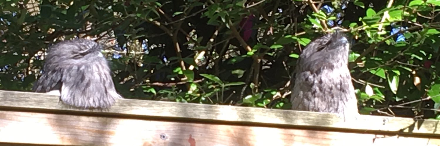 RevolutionPi 🌱💚 banner