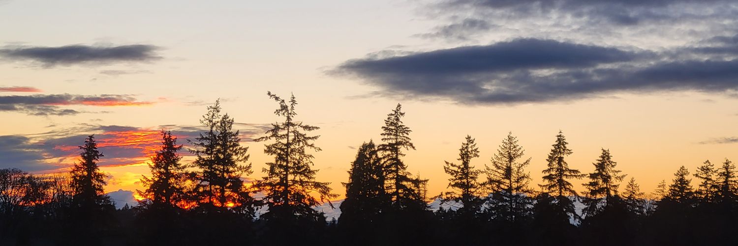 Zmo2315's profile banner image