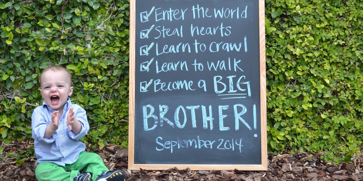 Daine Karst Stocker banner