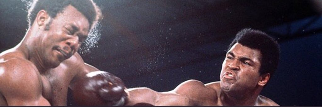 🦍 banner