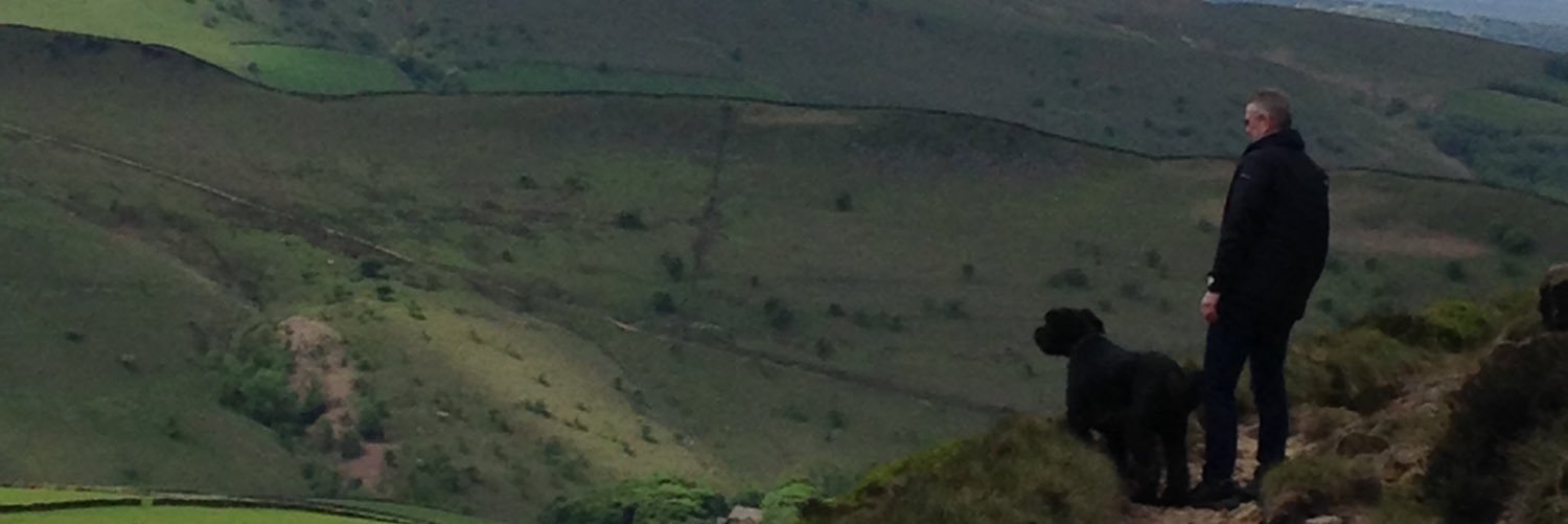 Toni Woodward banner