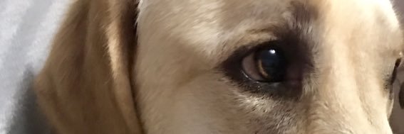 NataliaLenoci's profile banner image